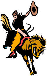 cowboy2 (3K)